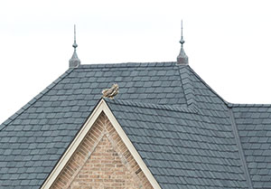 Owl on roof