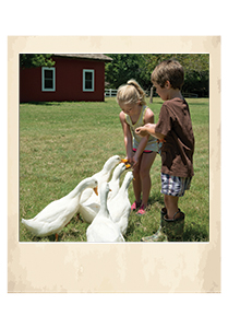Children feeding geese at Keystone