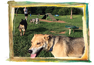 Bickham-Rudkin Dog Park