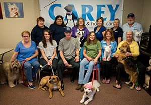 The team at Carey Pet & Home Care