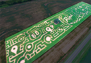 Pops Arcadia Corn Maze