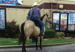 Man riding a horse through drive-through